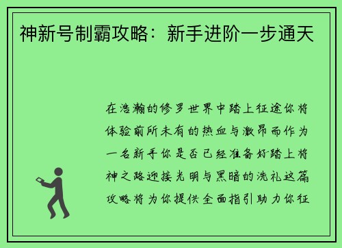 神新号制霸攻略：新手进阶一步通天